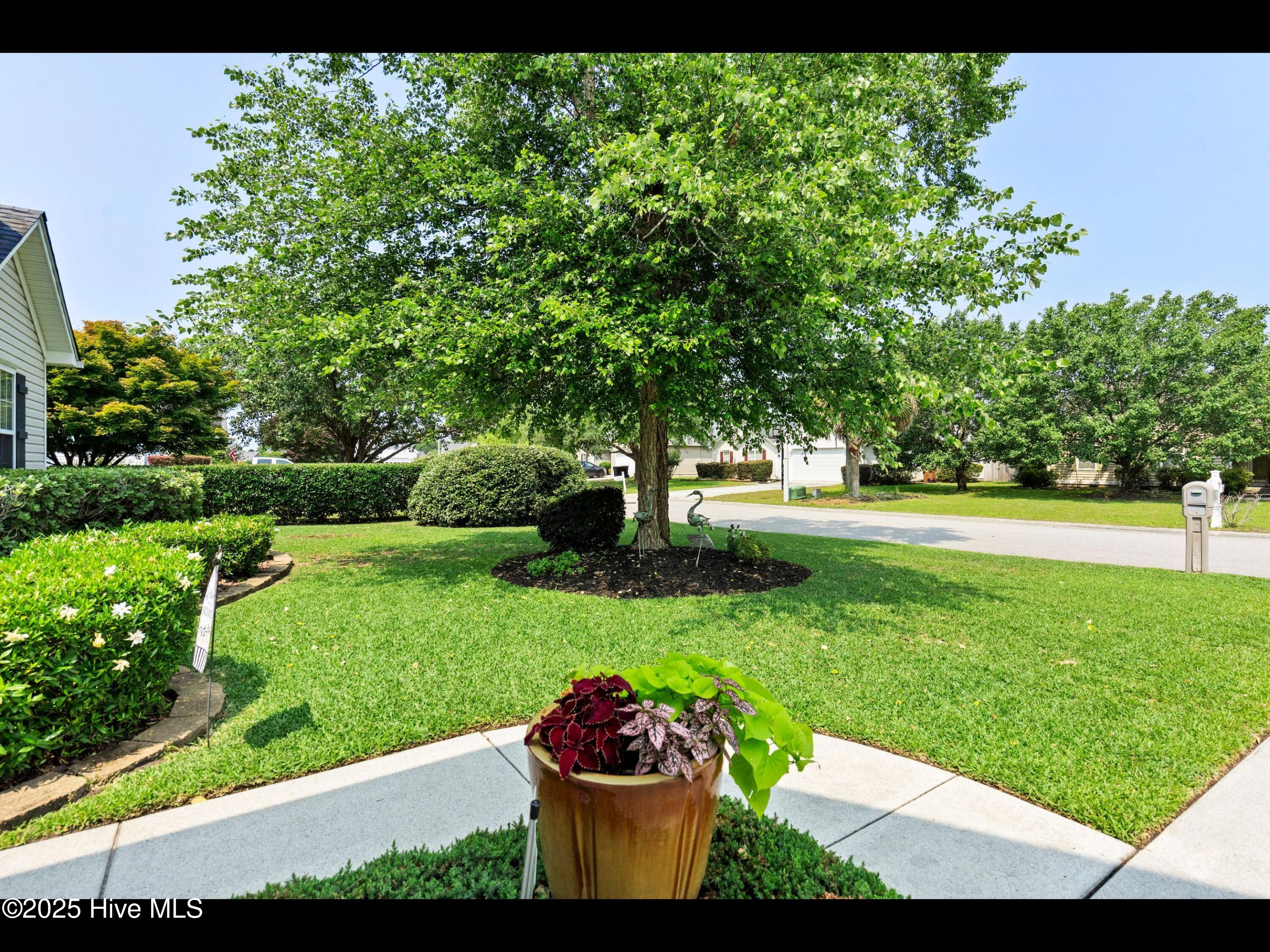 1204 Maple Ridge Road