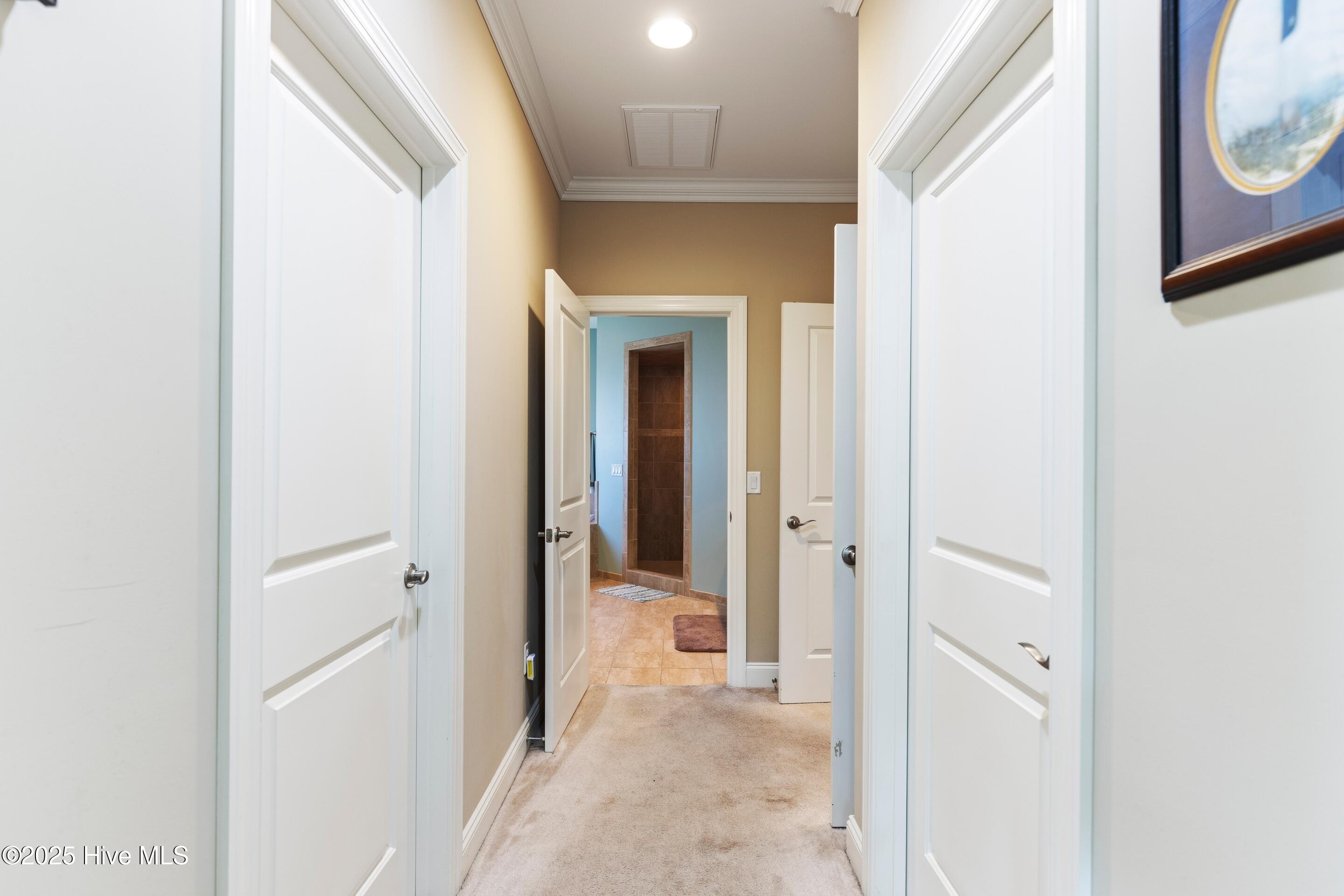 3220 Moss Hammock Wynd