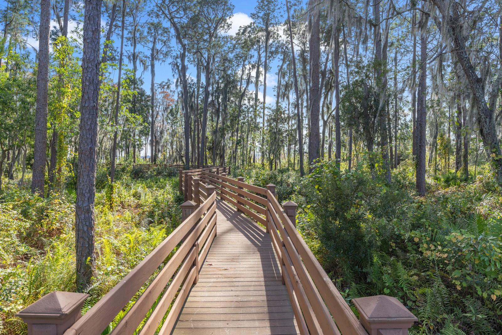 9205 TIBET POINTE CIR