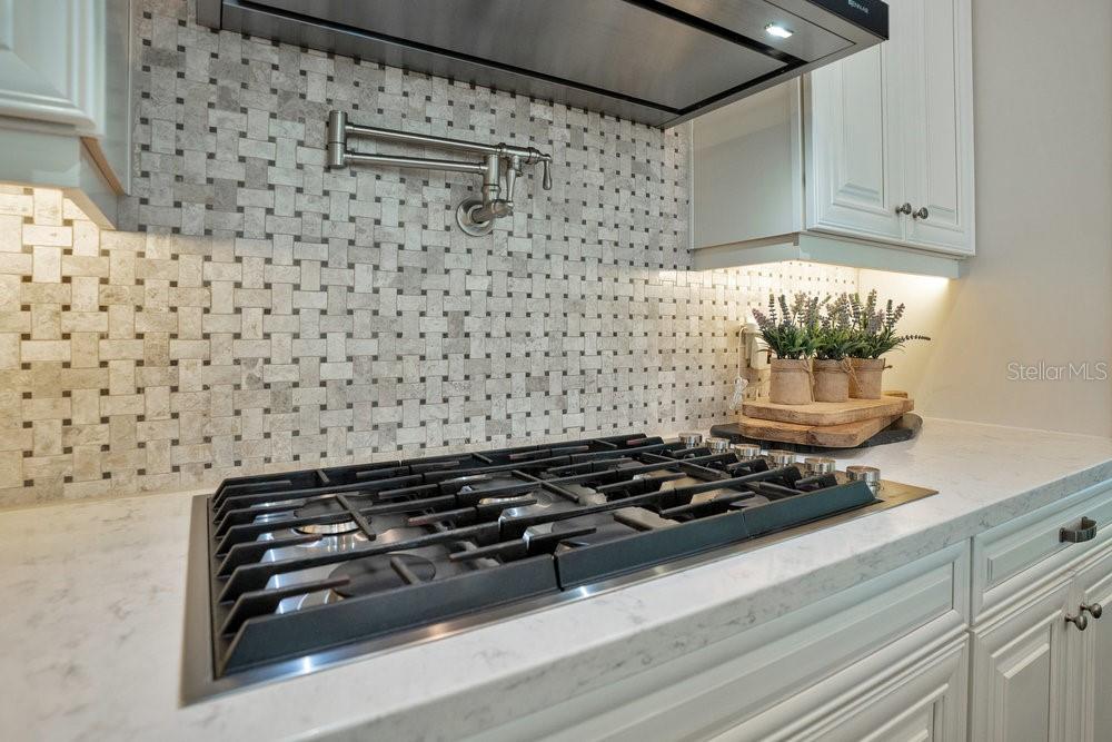 8364 VIA VITTORIA WAY