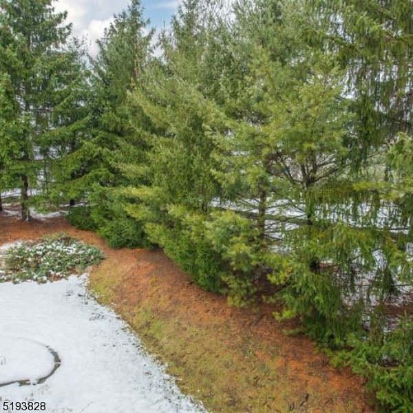 4 Eagles Nest Ln 4