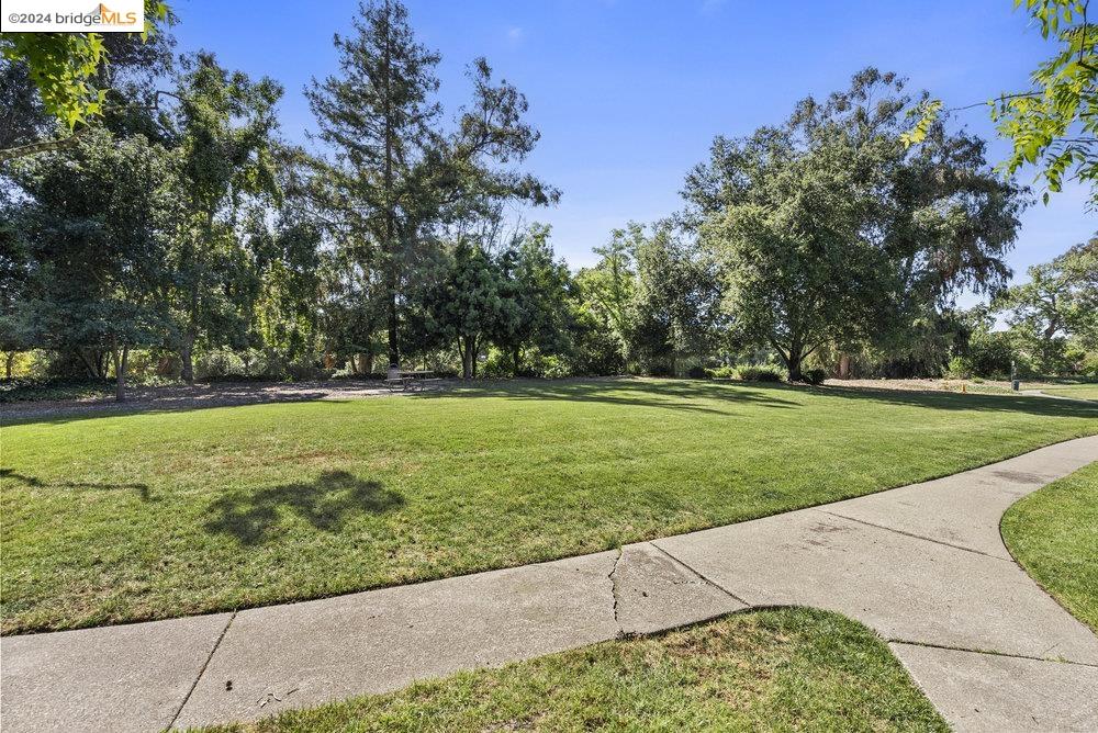 1961 Countrywood Ct