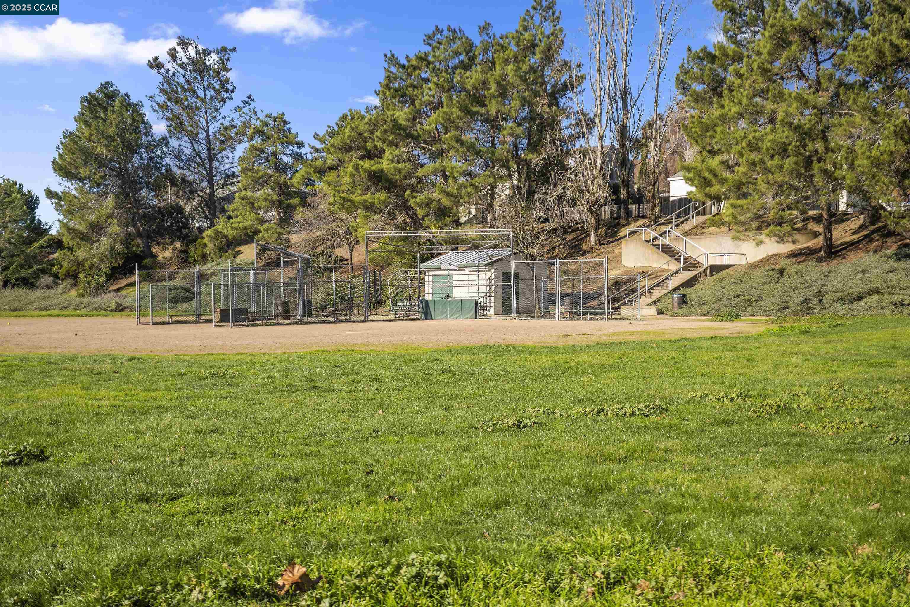 503 Zinnia Ct