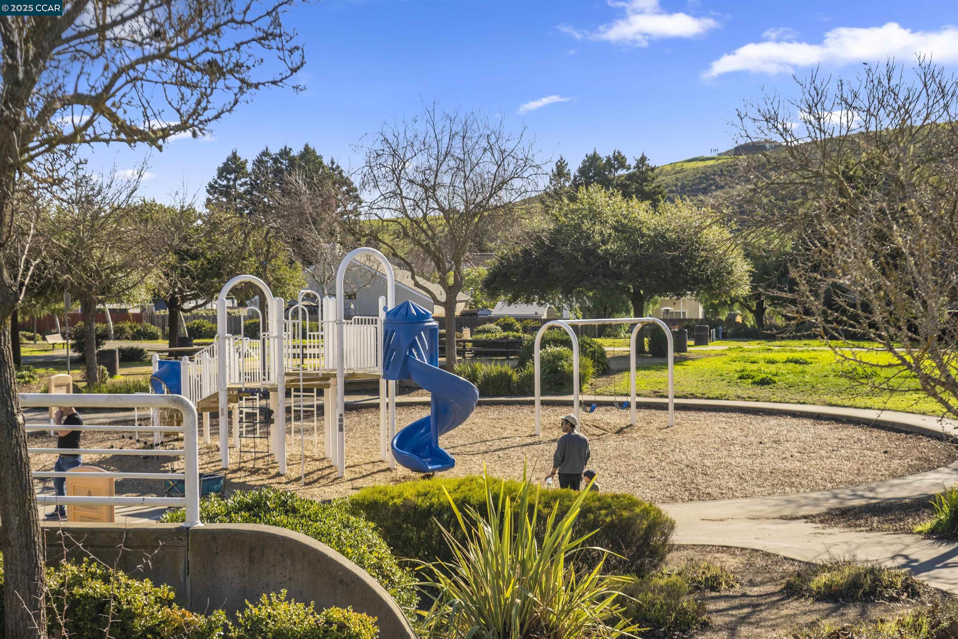 503 Zinnia Ct