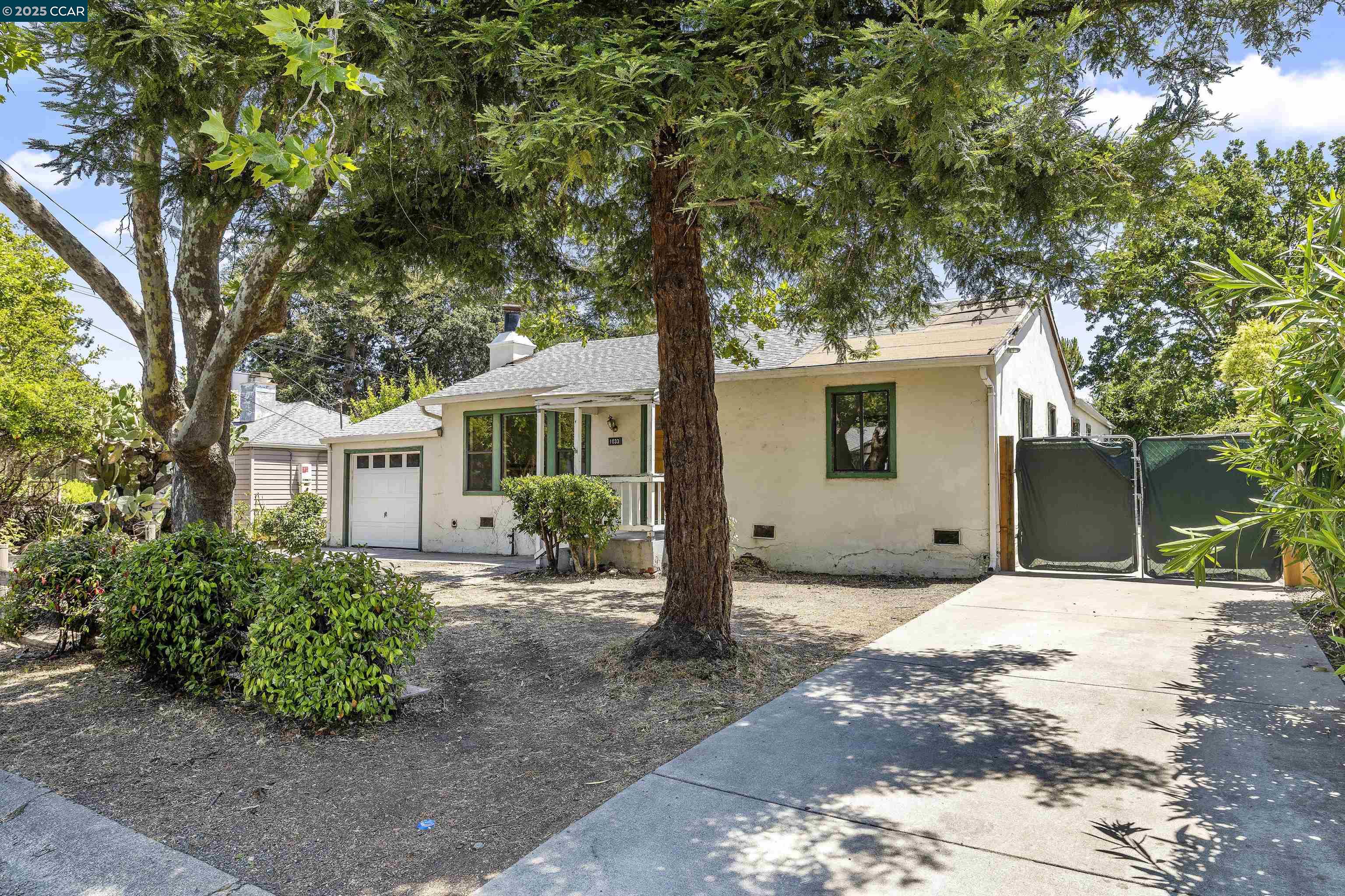 1033 Esther Dr