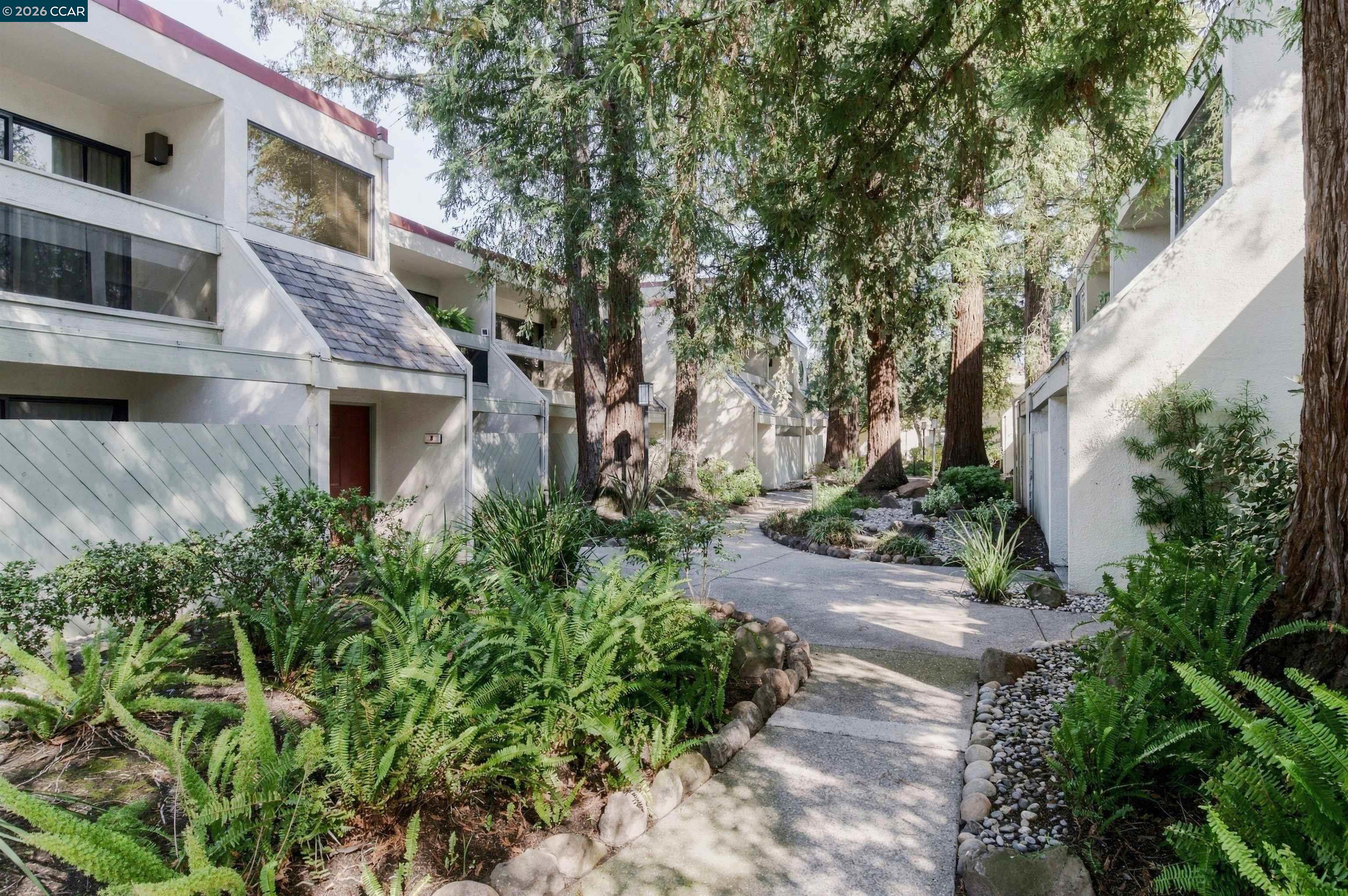 Townhouse courtyard walkway bordered by ferns, stone-edged beds, and mature trees.