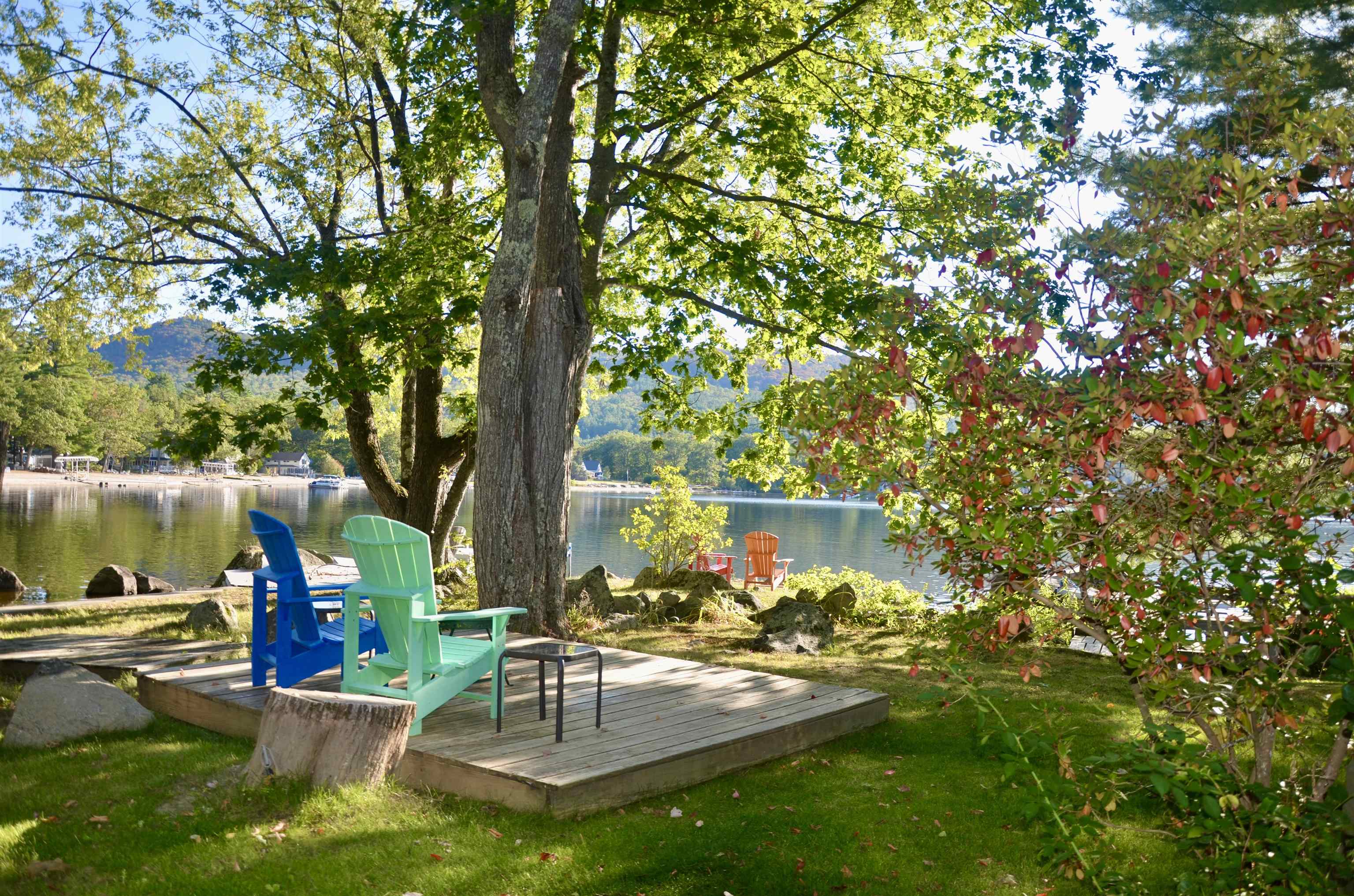 398 Shaker Boulevard