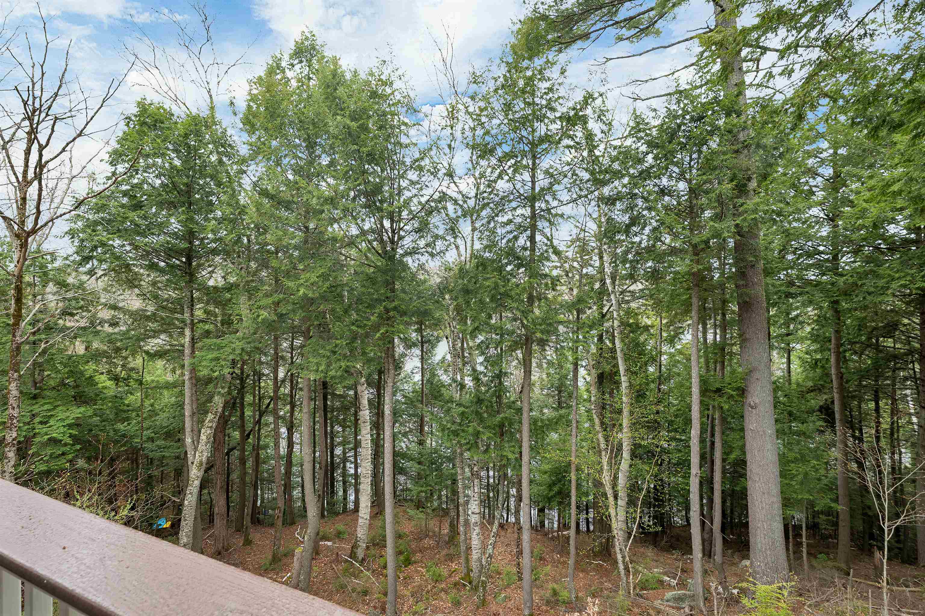 7 Turnbuckle Lane