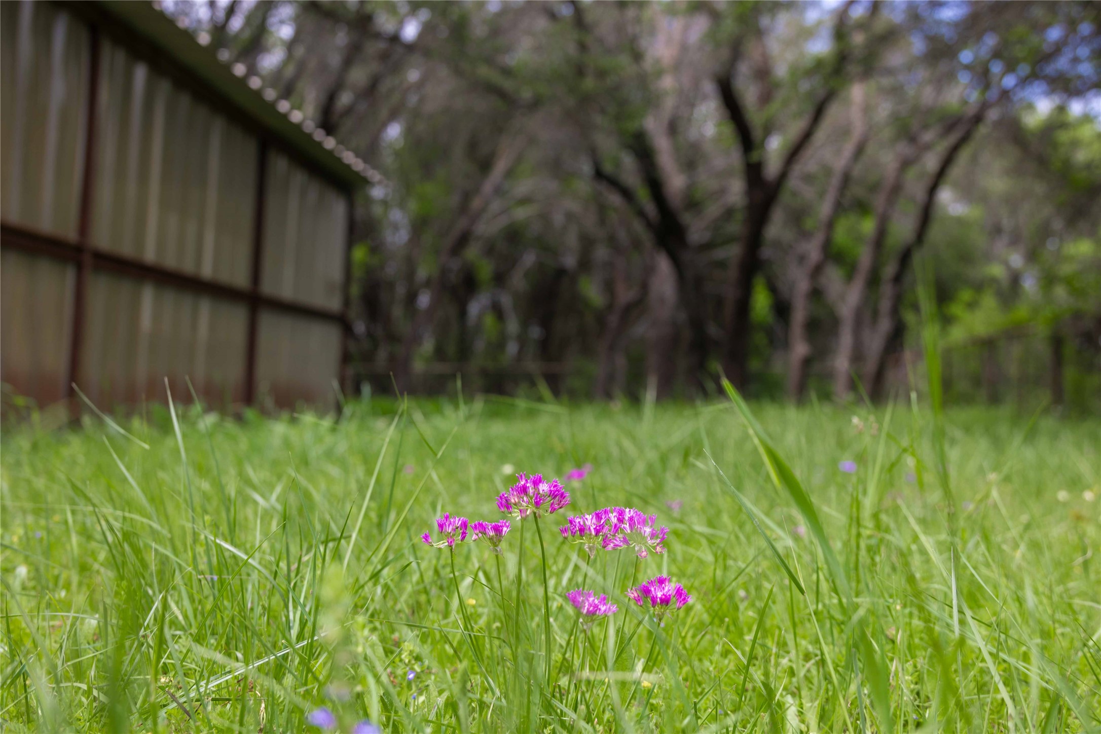 5151 County Road 292