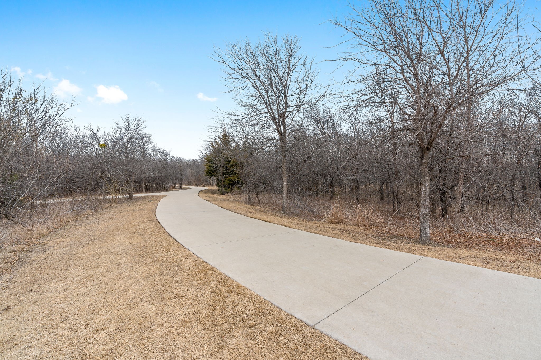 1617 Dragonback Pass