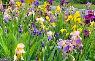 3493 POOR HOUSE ROAD