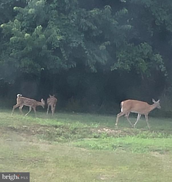 3493 POOR HOUSE ROAD