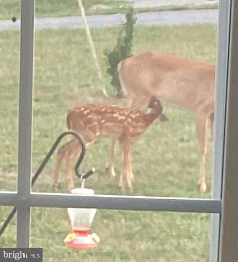 3493 POOR HOUSE ROAD