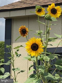 3493 POOR HOUSE ROAD