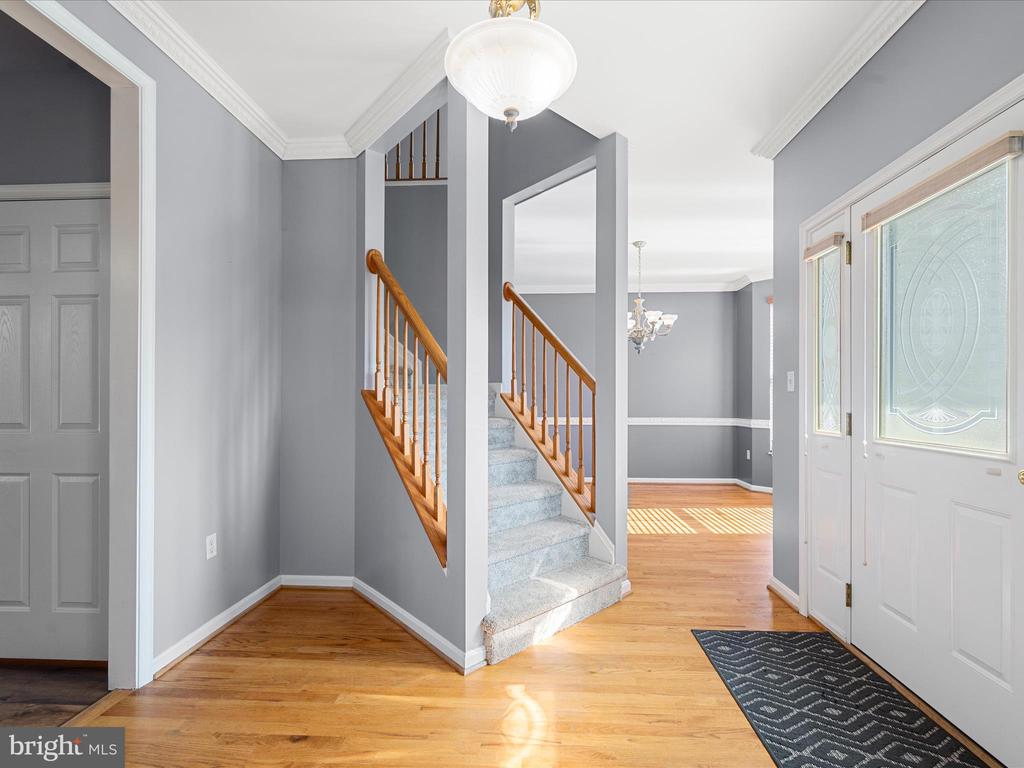 299 MCDONALD DRIVE