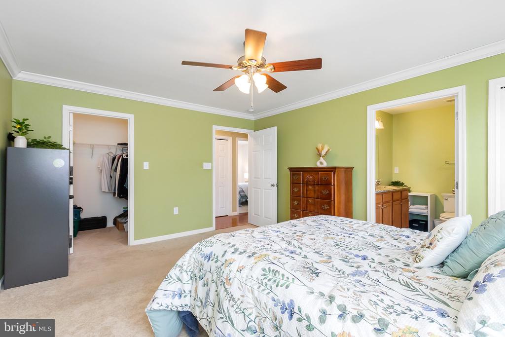 222 BALMORAL LANE