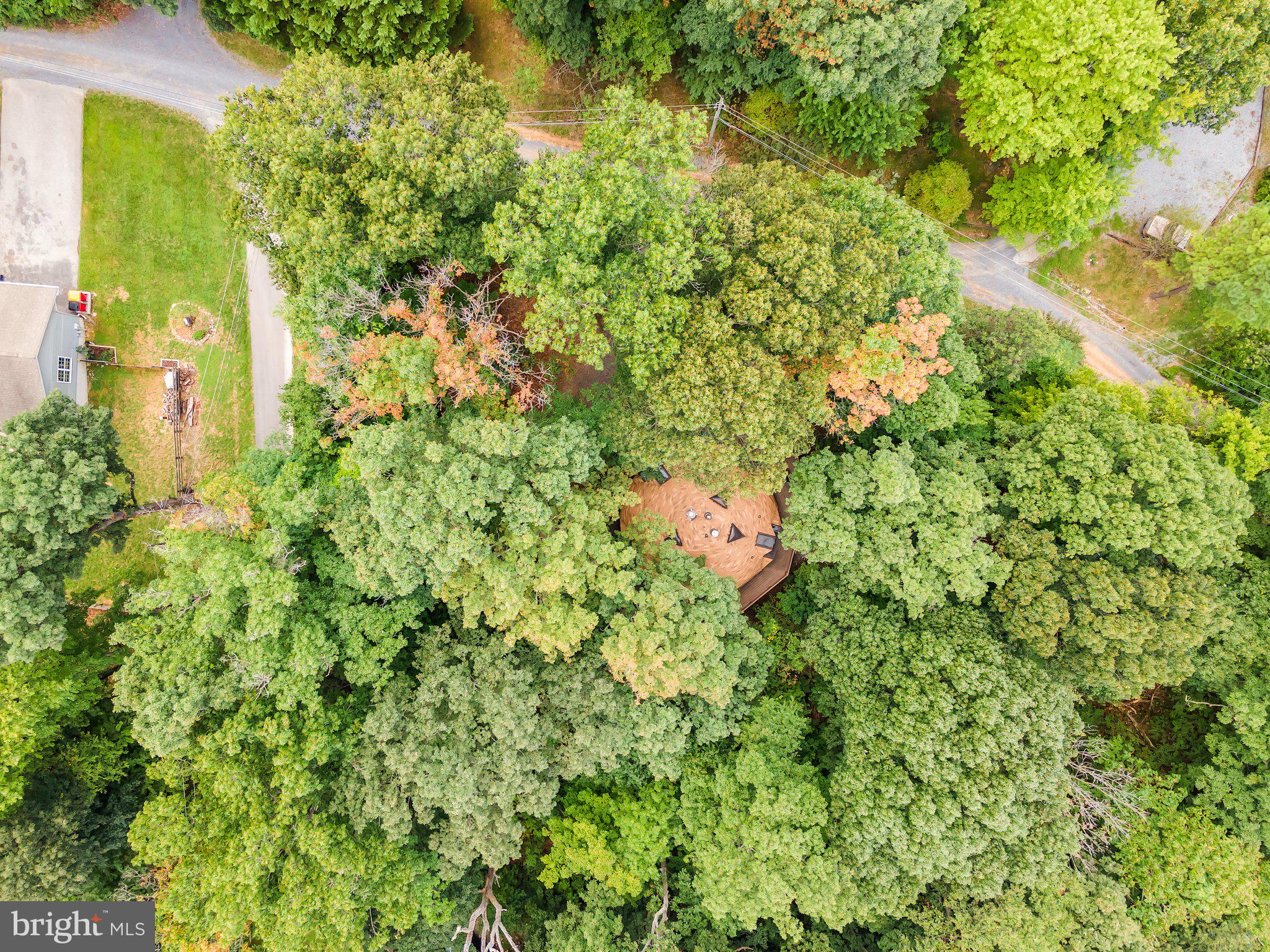 109 WILD TURKEY ROAD