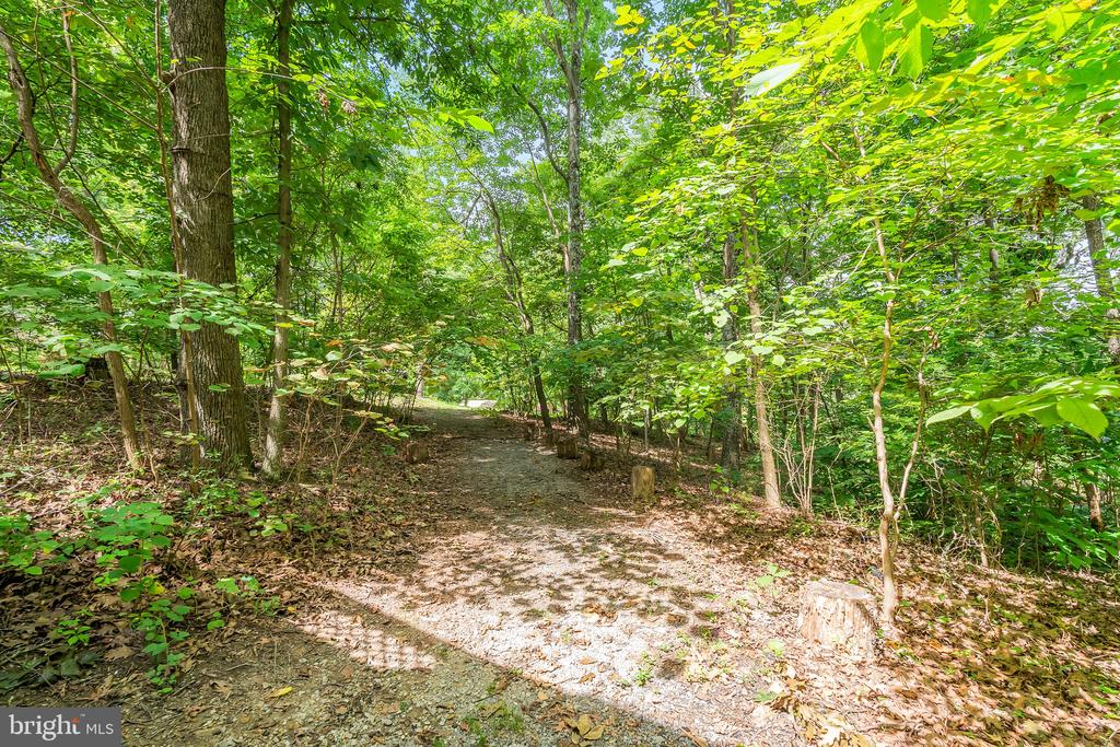 109 WILD TURKEY ROAD