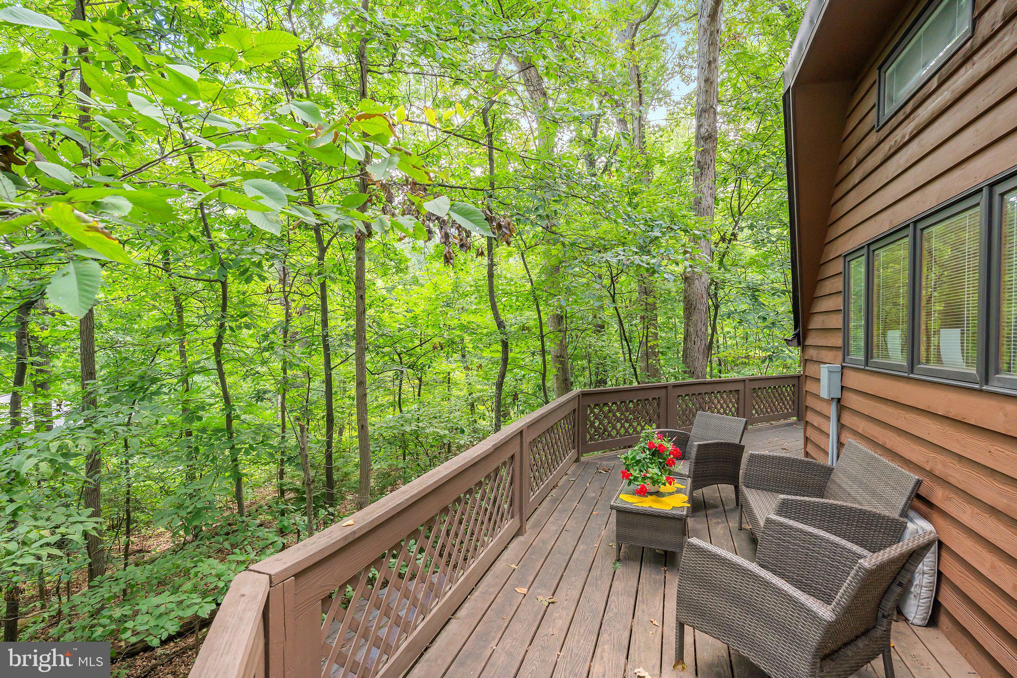 109 WILD TURKEY ROAD