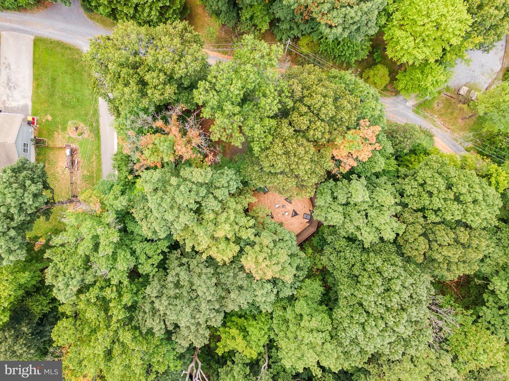 109 WILD TURKEY ROAD