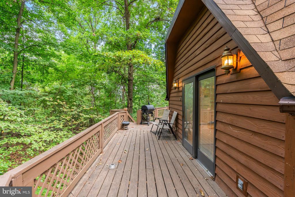 109 WILD TURKEY ROAD