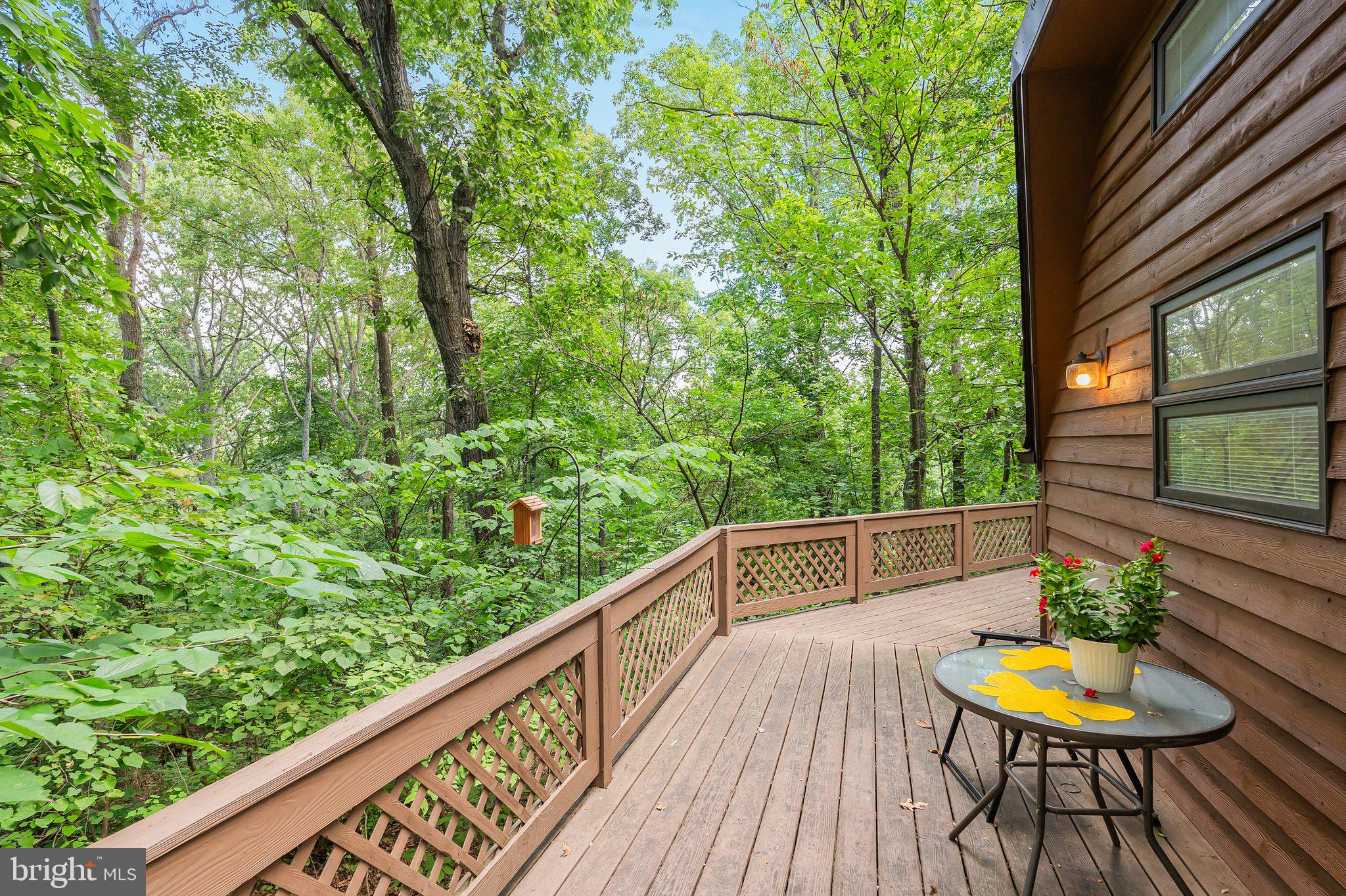 109 WILD TURKEY ROAD