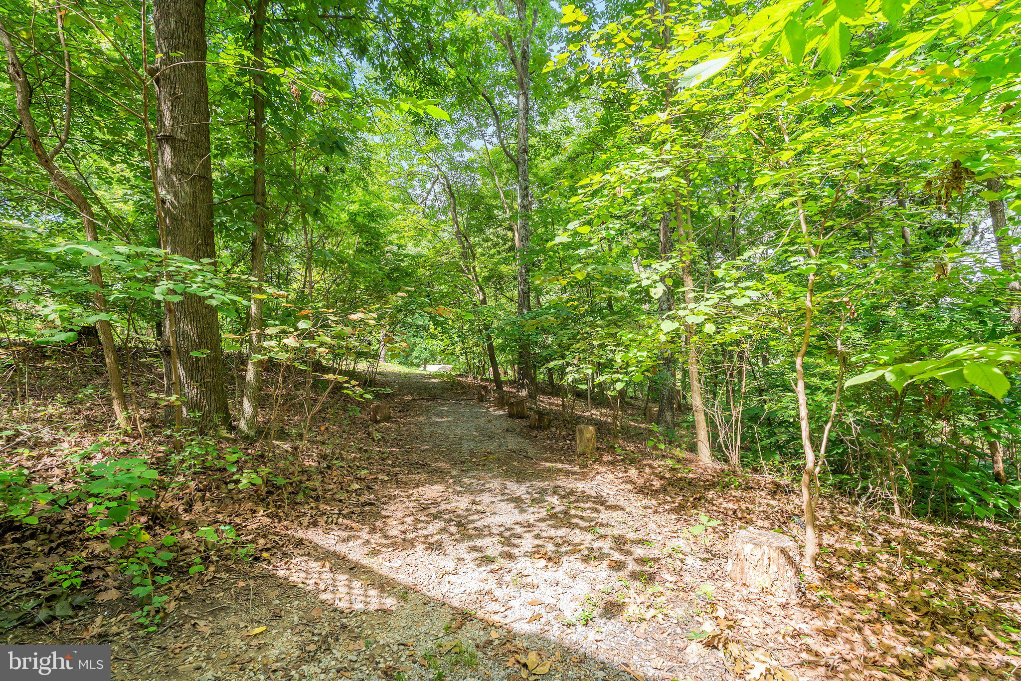 109 WILD TURKEY ROAD