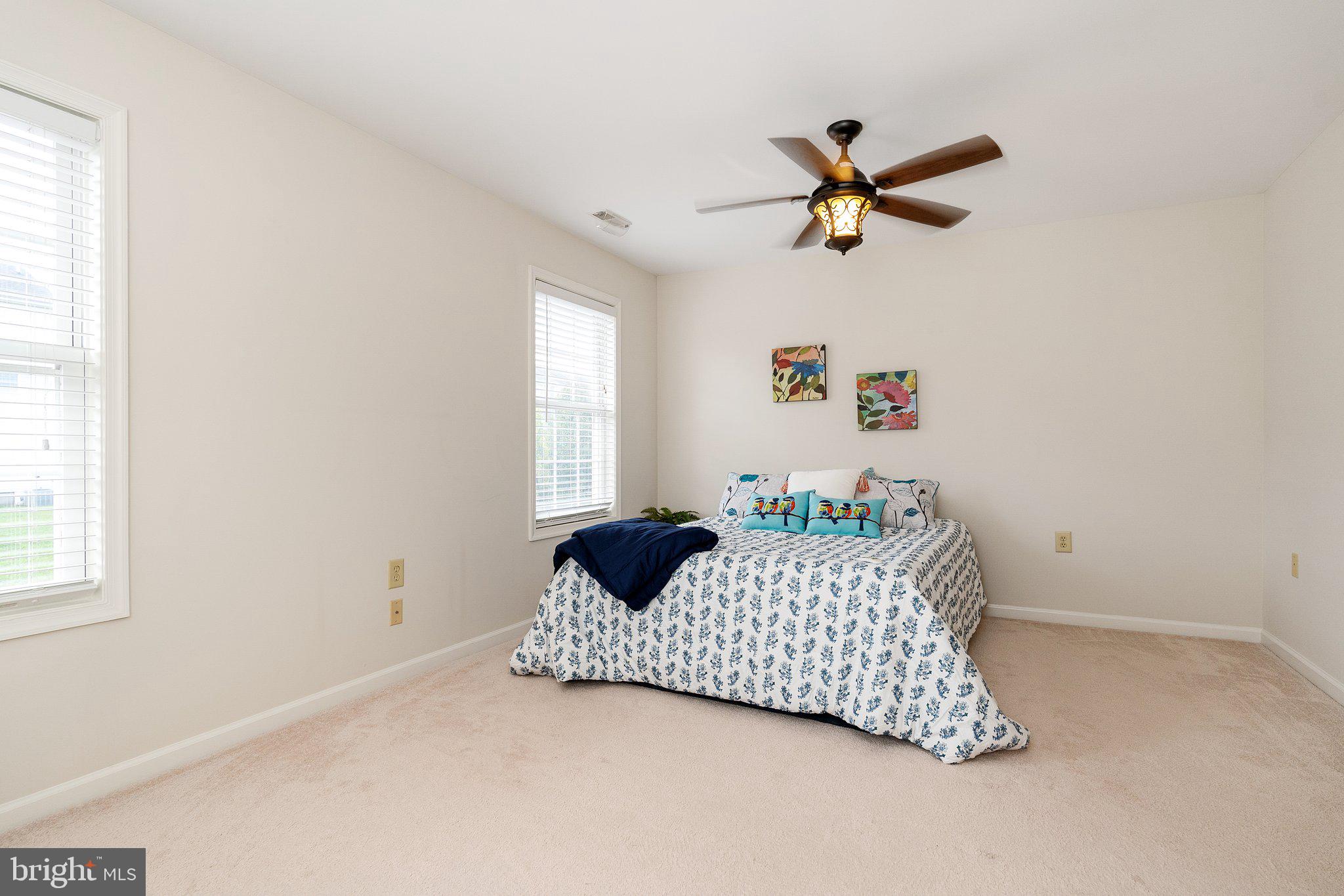 101 PETER RABBIT DRIVE