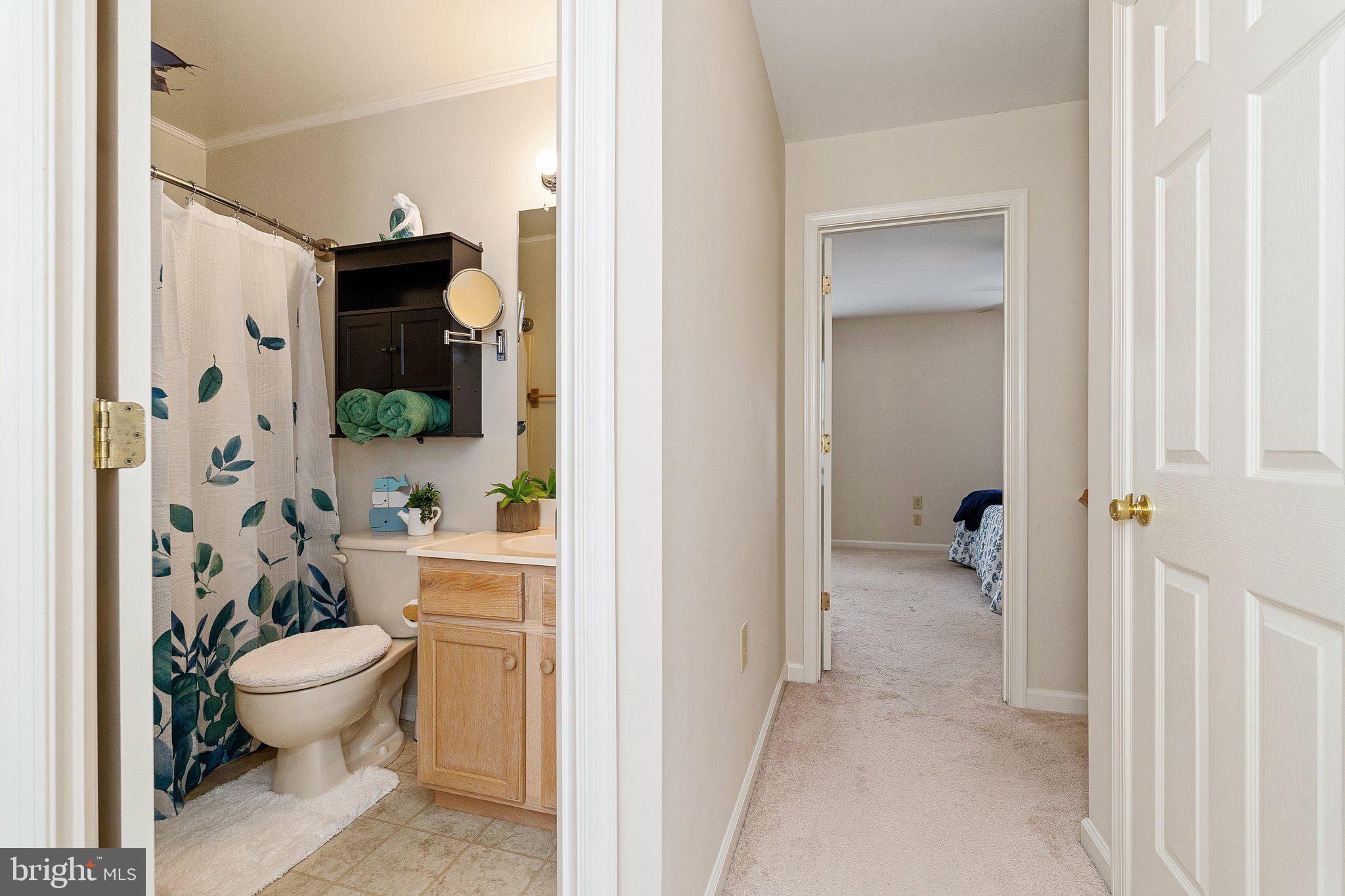 101 PETER RABBIT DRIVE