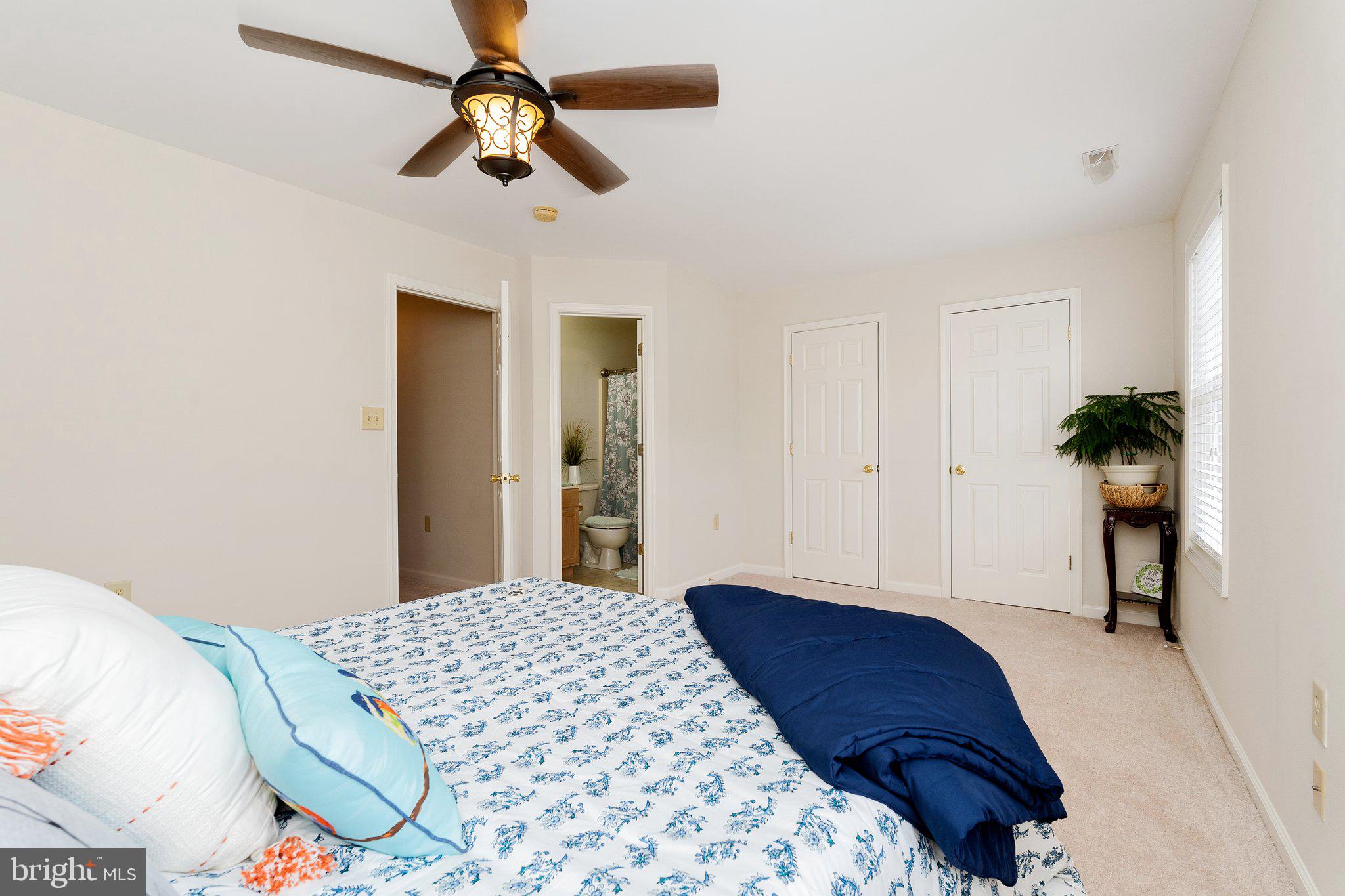 101 PETER RABBIT DRIVE