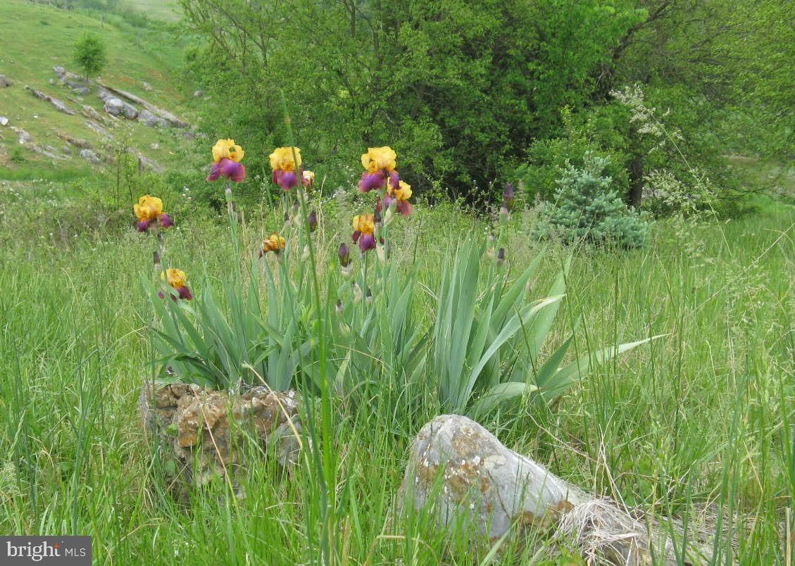 6531 ENGLE MOLERS ROAD