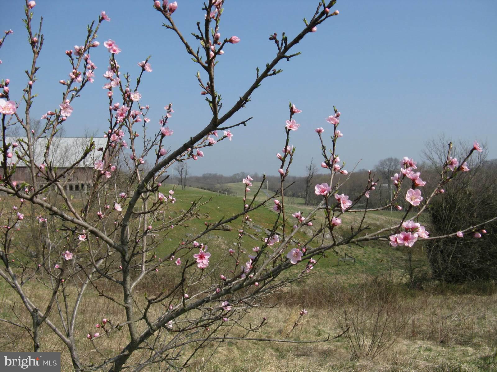 6531 ENGLE MOLERS ROAD