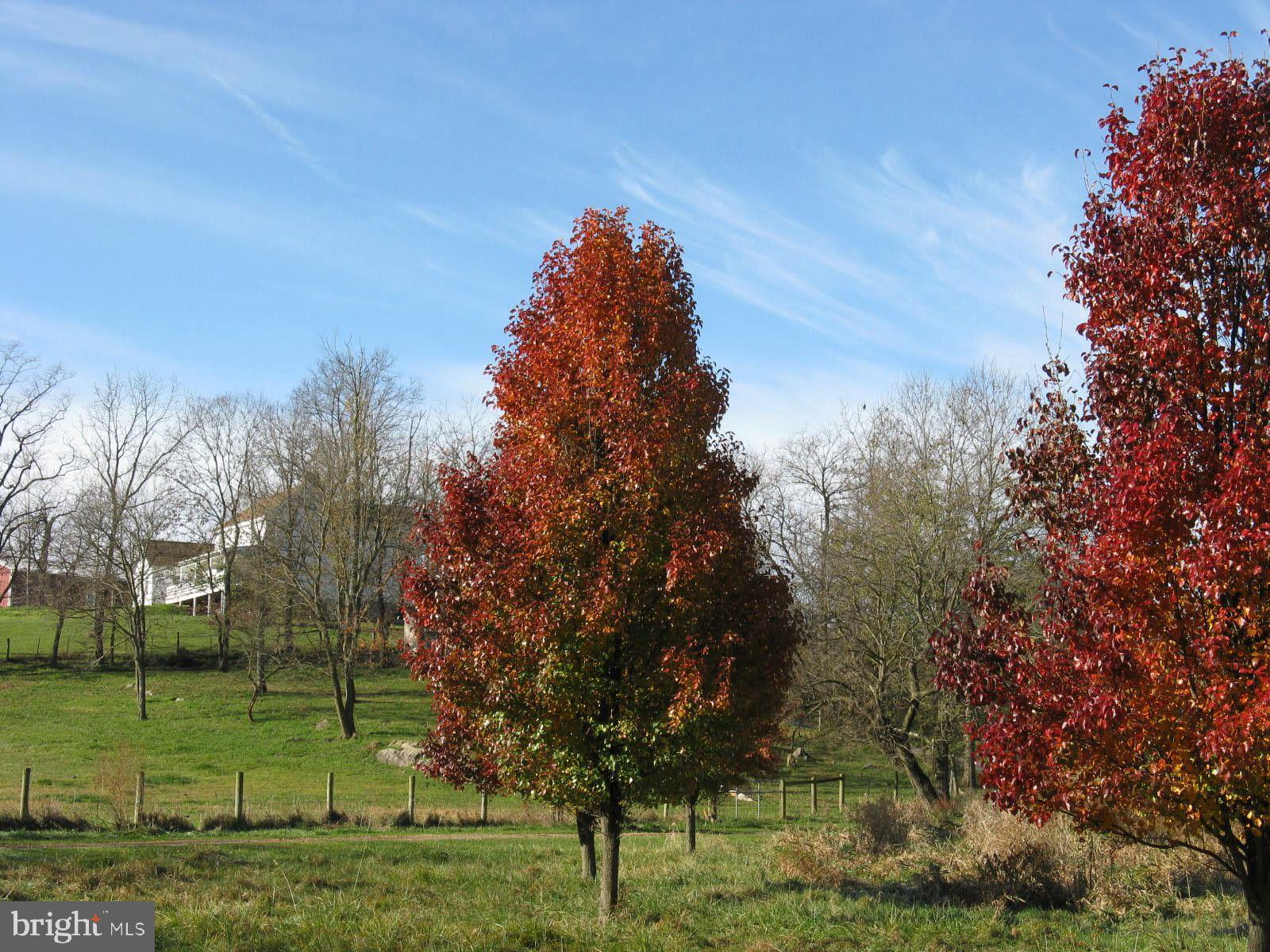 6531 ENGLE MOLERS ROAD