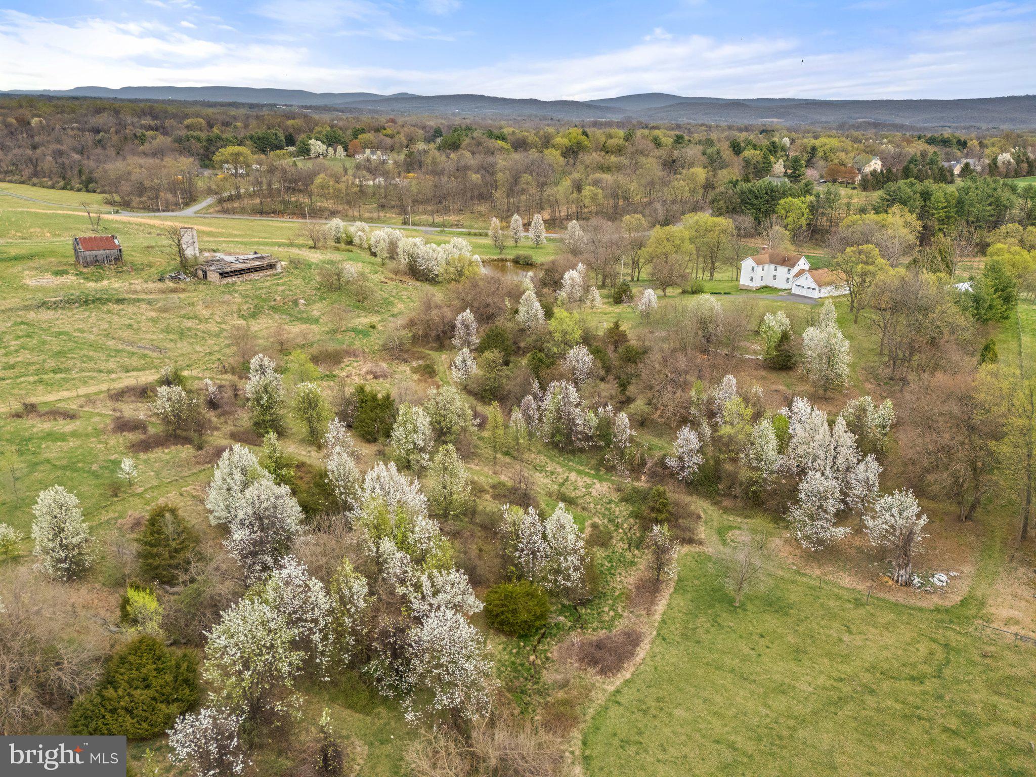 6531 ENGLE MOLERS ROAD