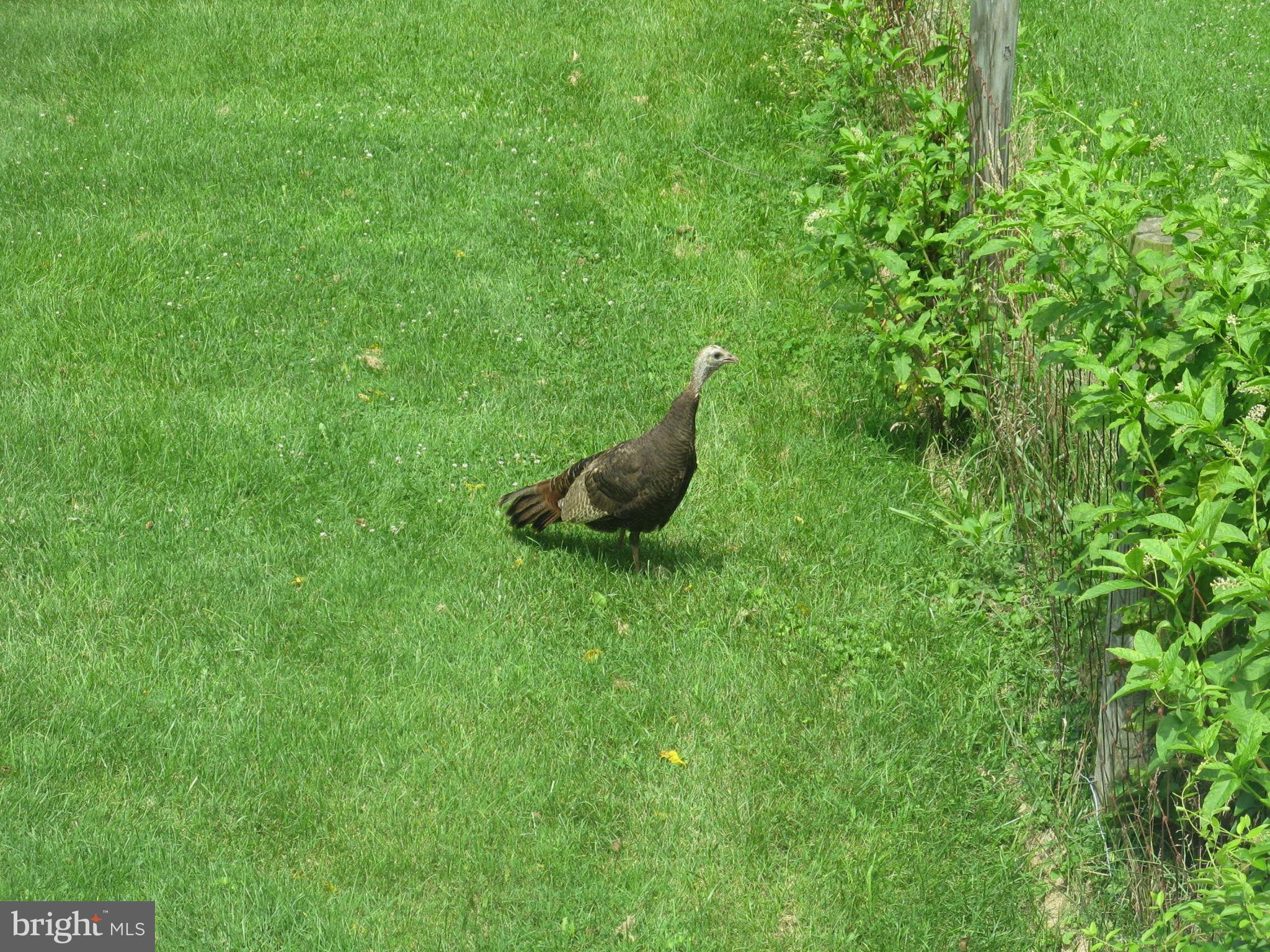 6531 ENGLE MOLERS ROAD