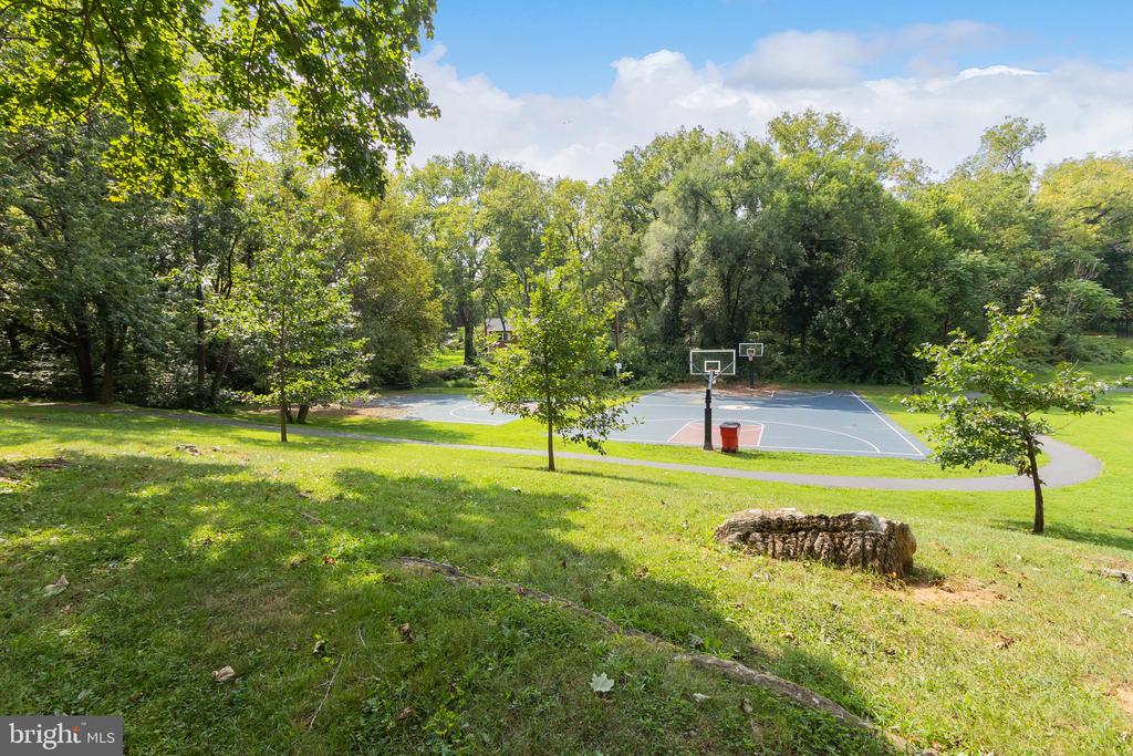 Outdoor basketball court surrounded by mature trees and a grassy lawn.