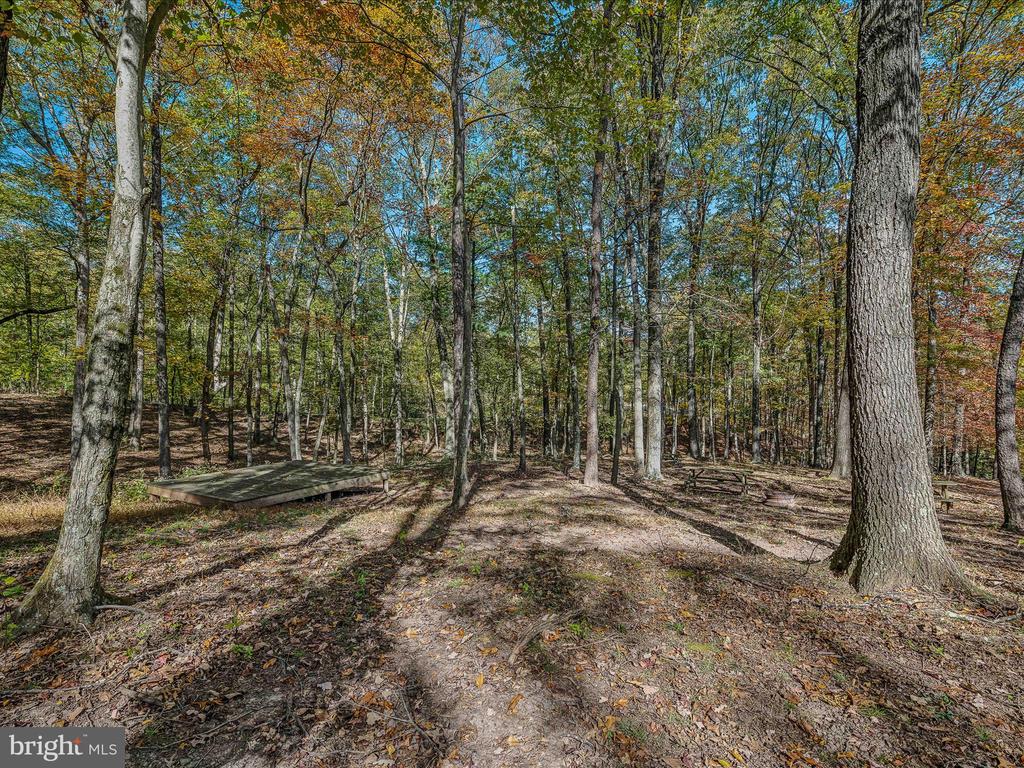 44 COX LANE