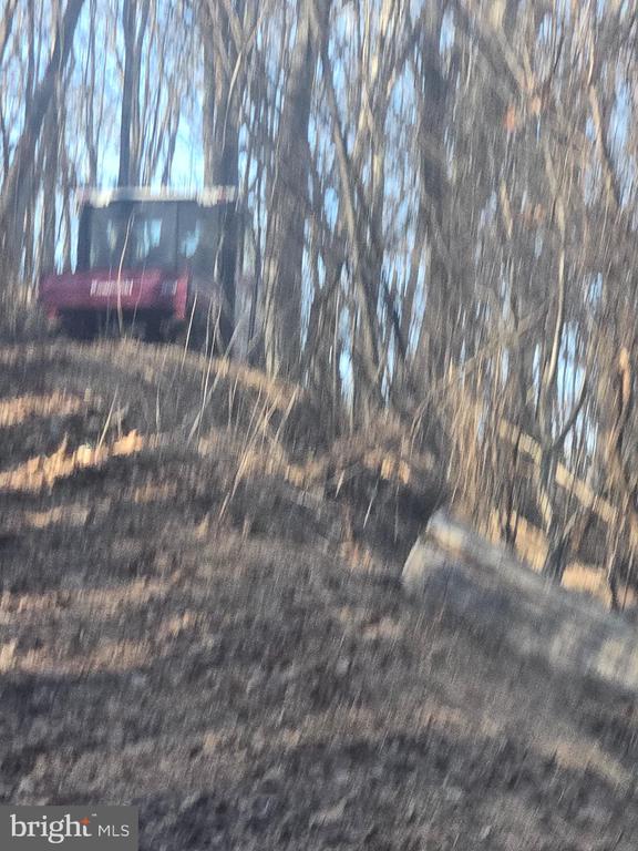 44 COX LANE