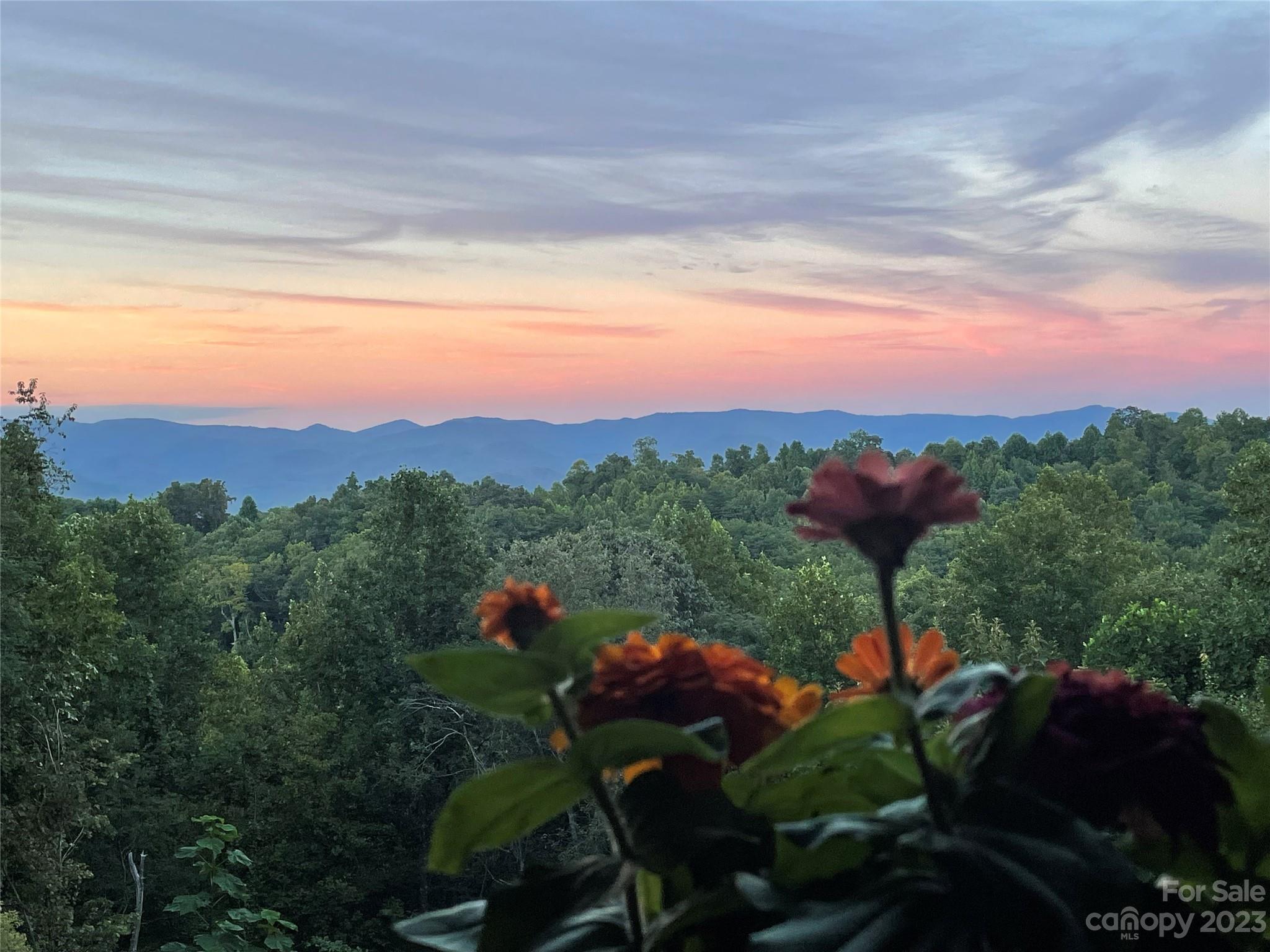612 Adirondack Lane Unit: 71