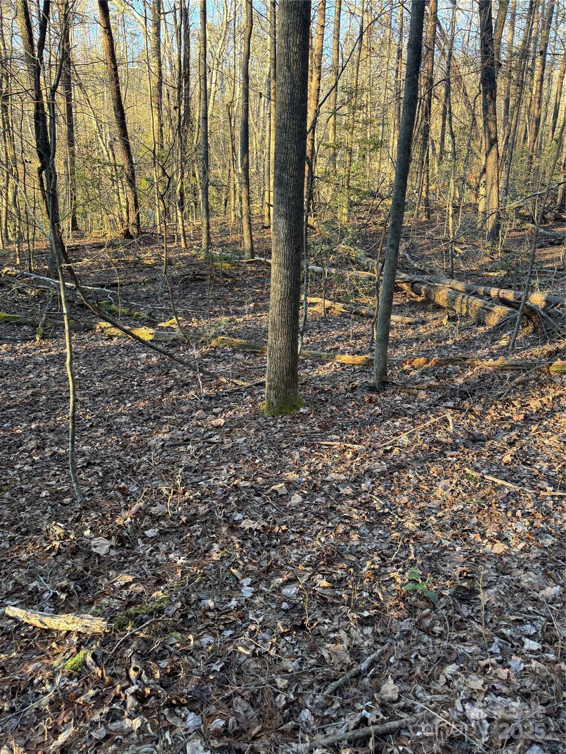 TBD Sheriffs Road