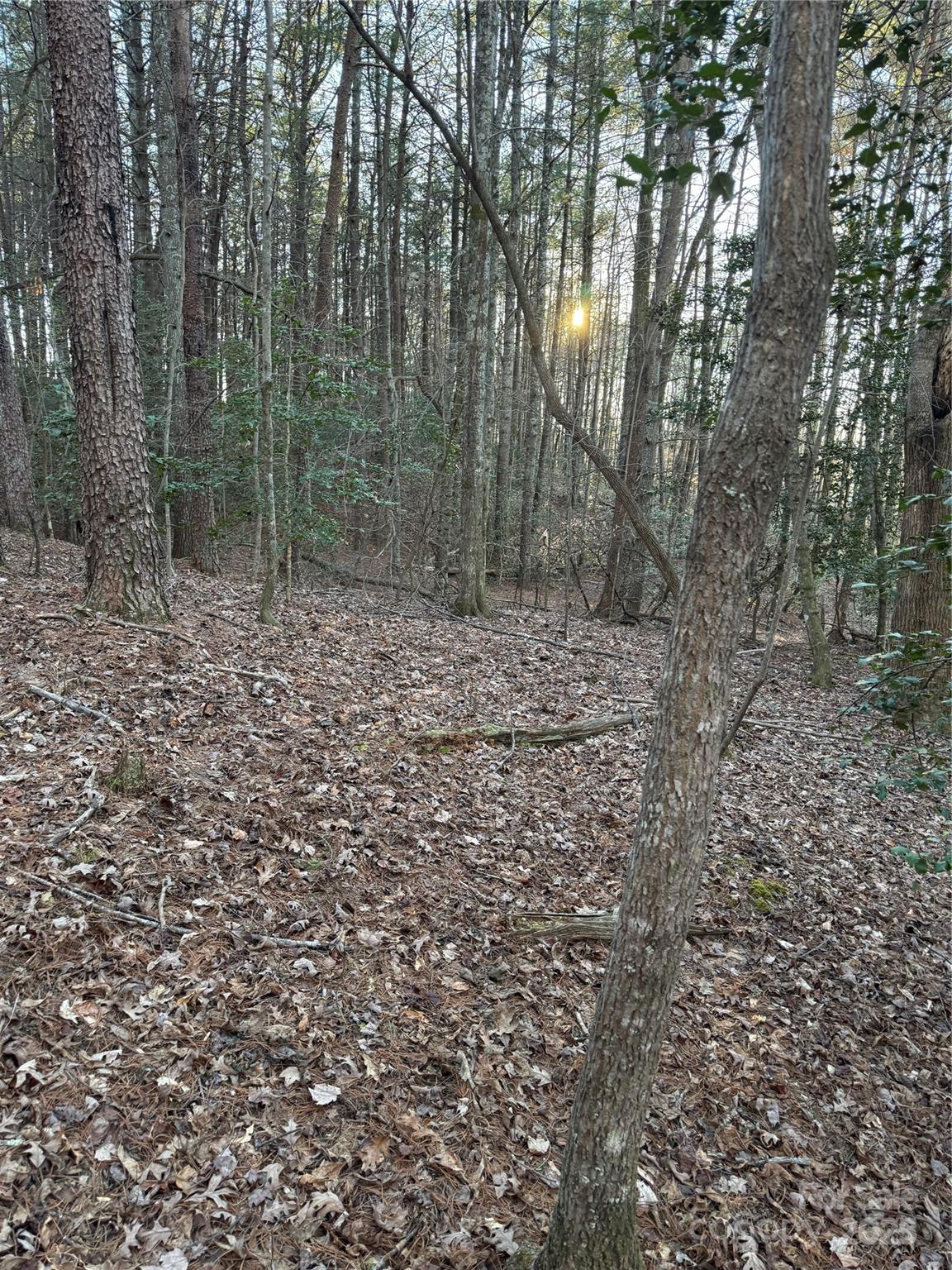 TBD Sheriffs Road
