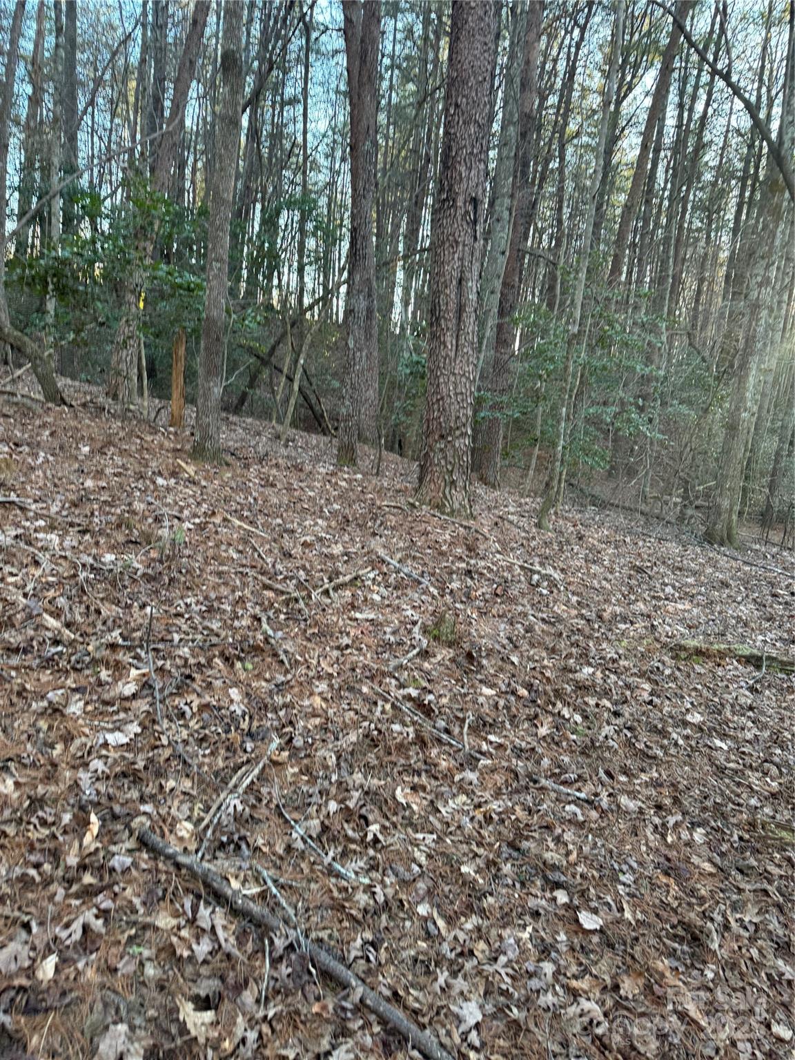 TBD Sheriffs Road