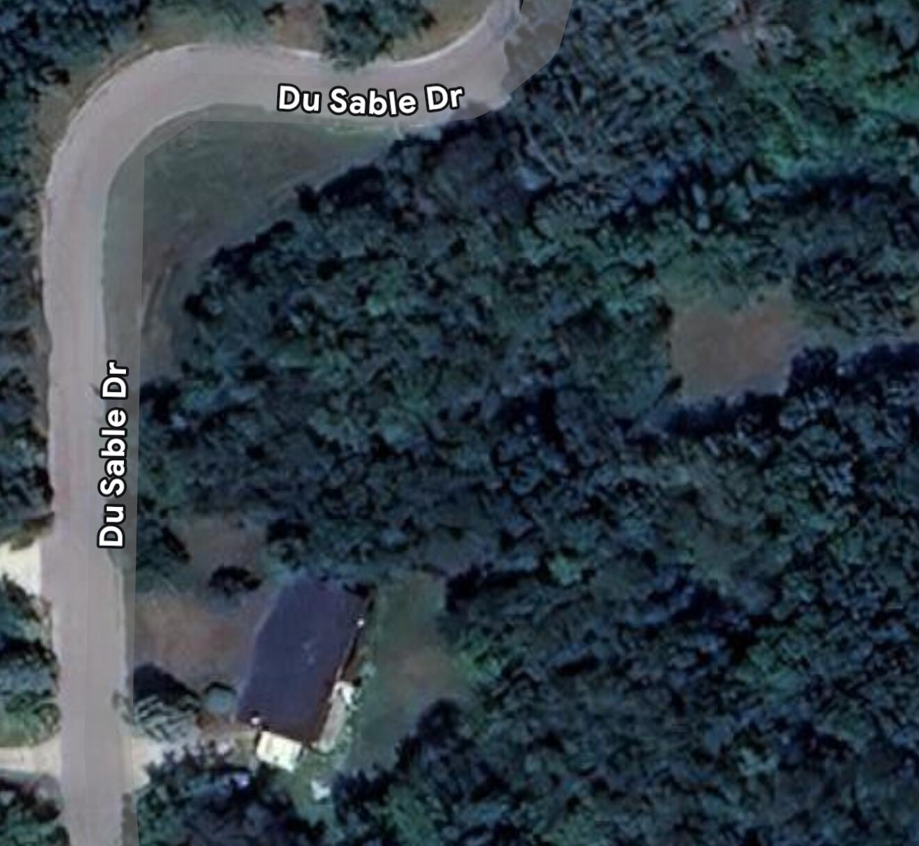 LT0 Du Sable Dr