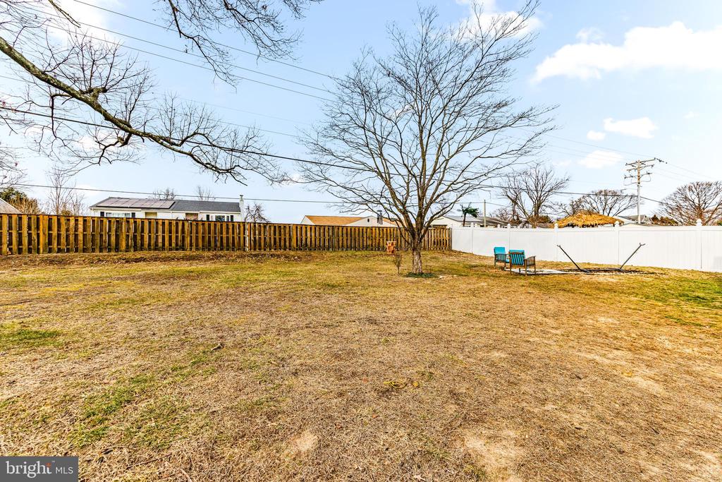 Backyard with a large leafless tree, broad lawn, privacy fences, and two patio chairs.