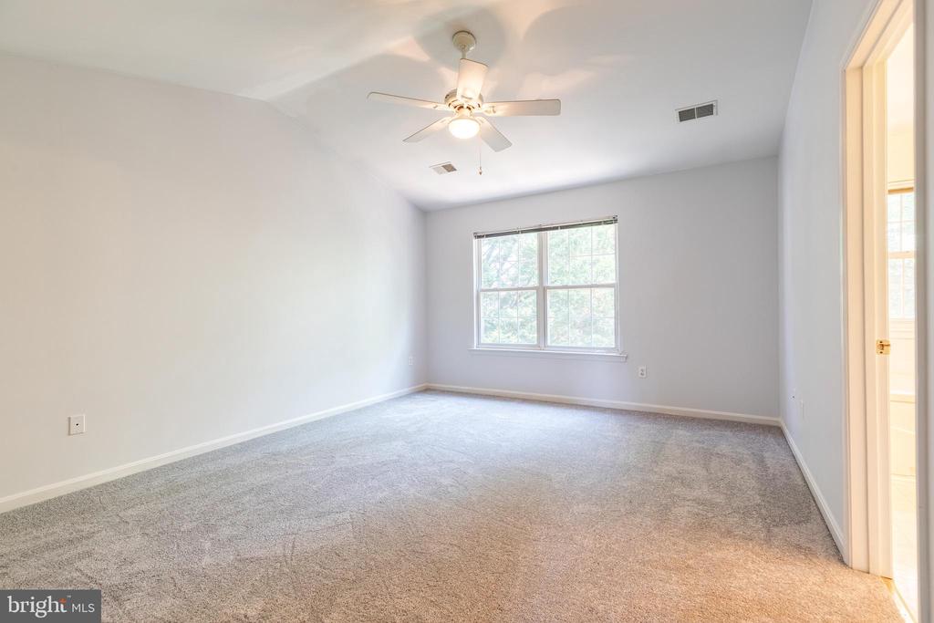 Empty carpeted bedroom with a ceiling fan and double window.