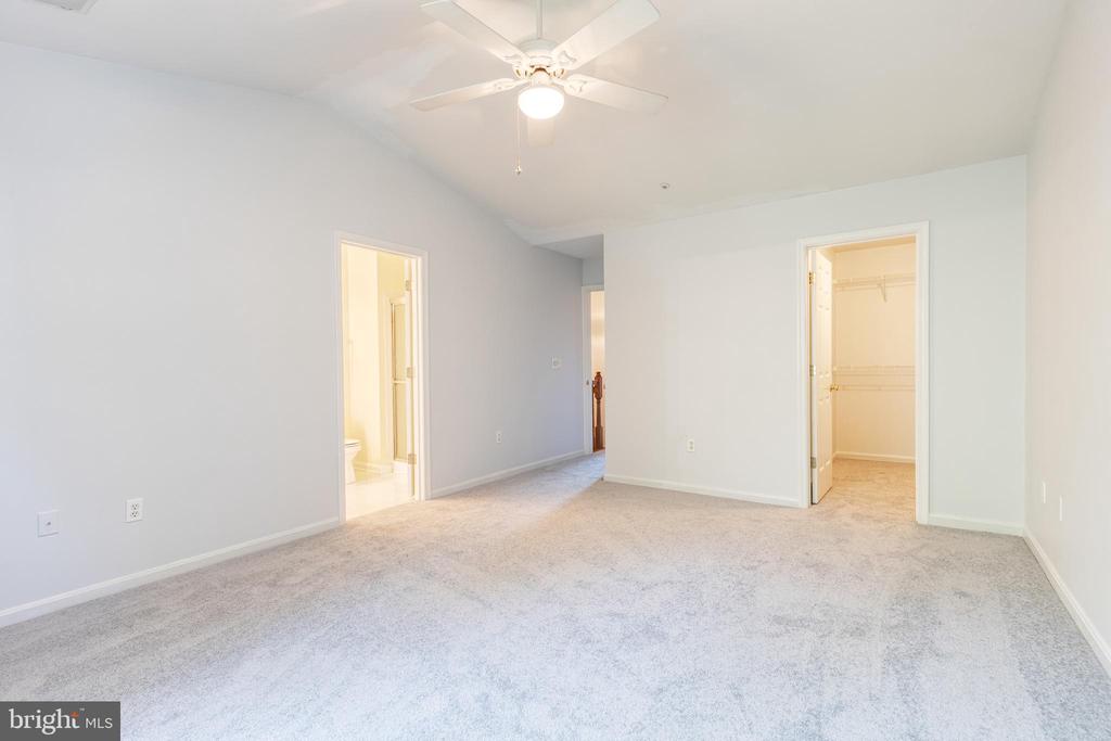 Empty carpeted bedroom with a ceiling fan and open doorways to a bathroom and closet.