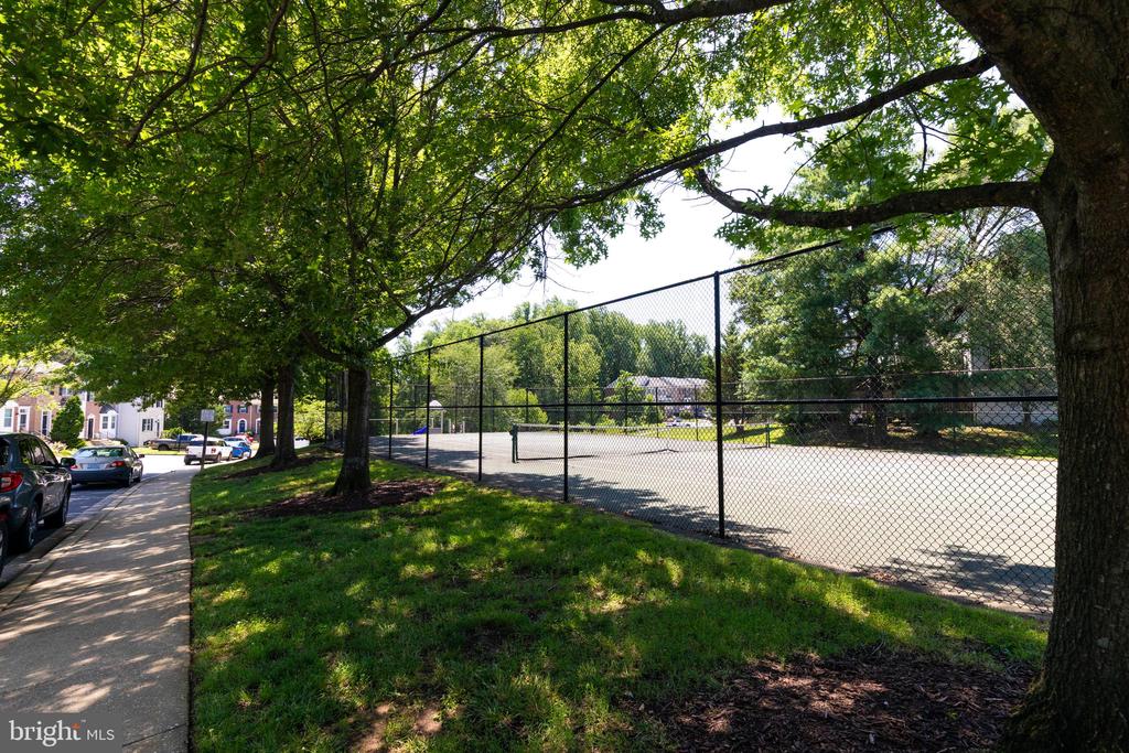 Fenced outdoor court beside a tree-shaded sidewalk and nearby homes.