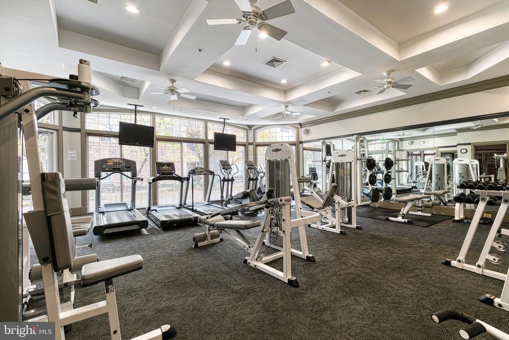 Fitness center with treadmills, weight machines, and mirrored walls beside large windows.