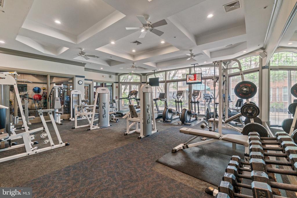 Fitness room with weight machines, cardio equipment, and dumbbells beside large windows.