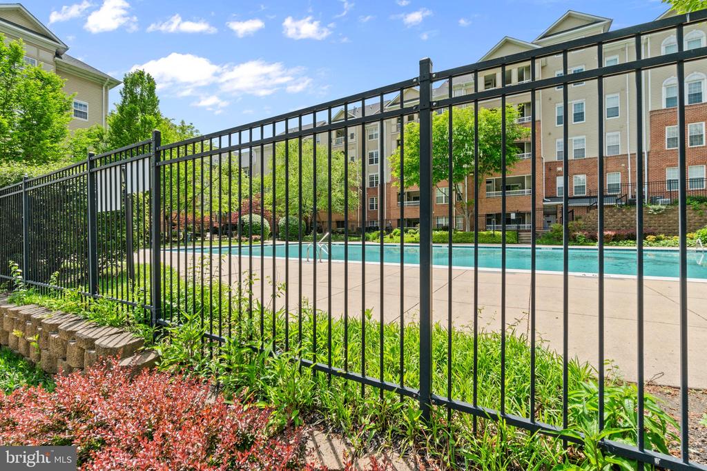 Condominium swimming pool behind a black metal fence, with landscaped shrubs and residential buildings.